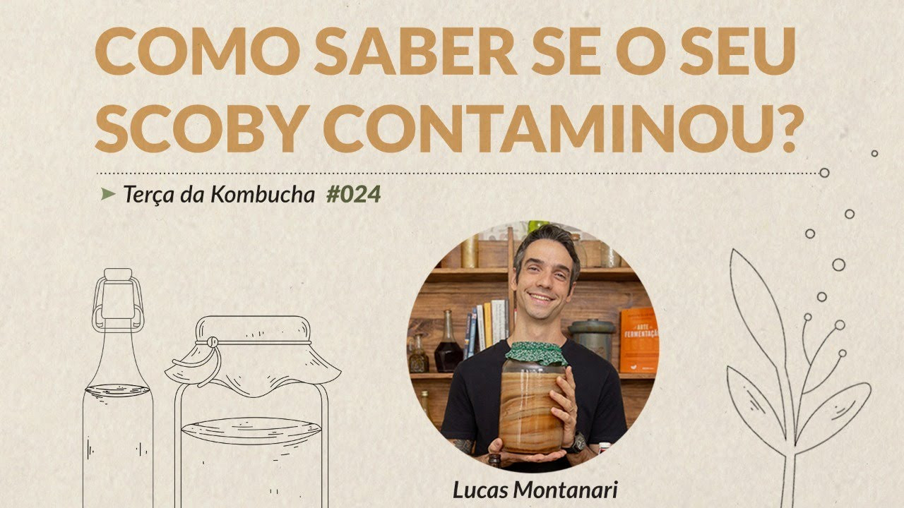 Como Saber Se A Minha Kombucha Est Saud Vel O Contador De Cervejas