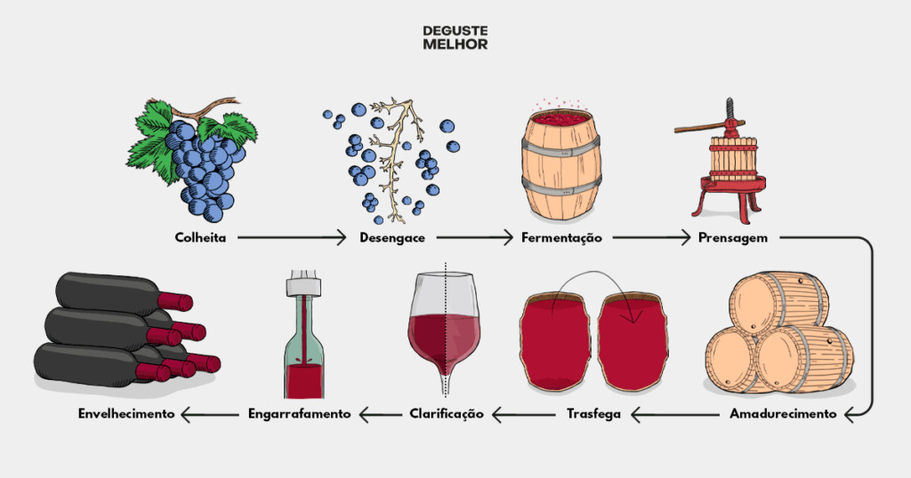 Quais S O As Etapas Do Vinho O Contador De Cervejas