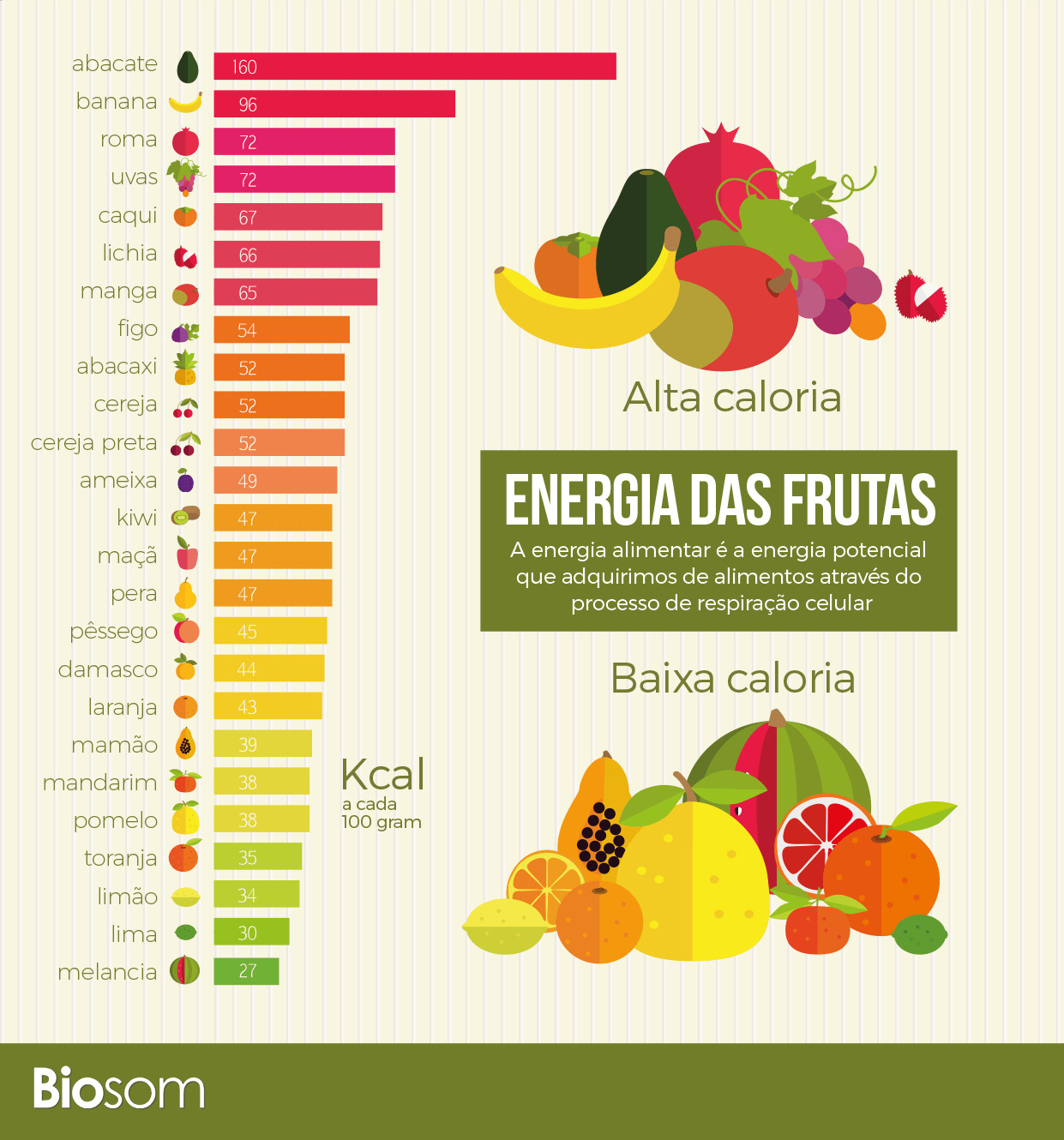 Quais São As Frutas Mais Saudáveis O Contador De Cervejas 6403